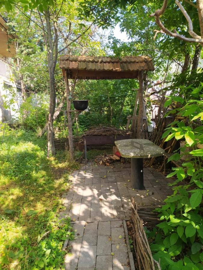Guest House Shvelidze Borjomi Exterior photo