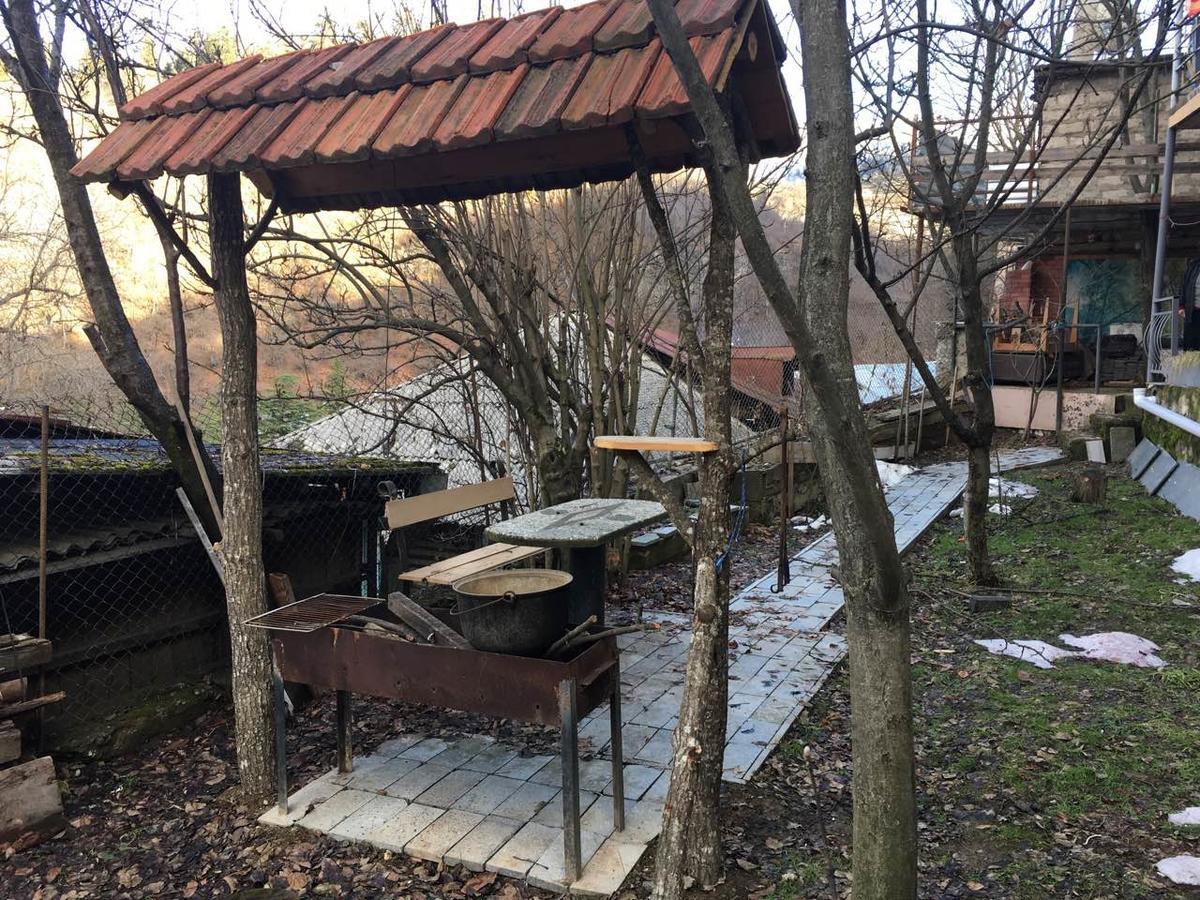 Guest House Shvelidze Borjomi Exterior photo